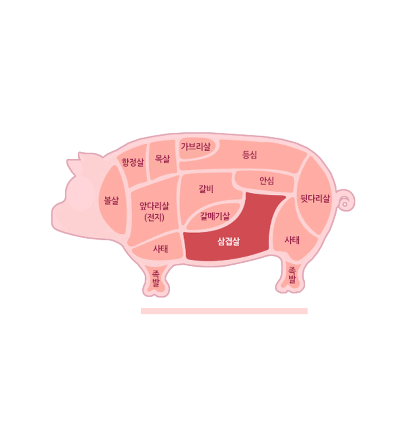 pig_sam_03.gif