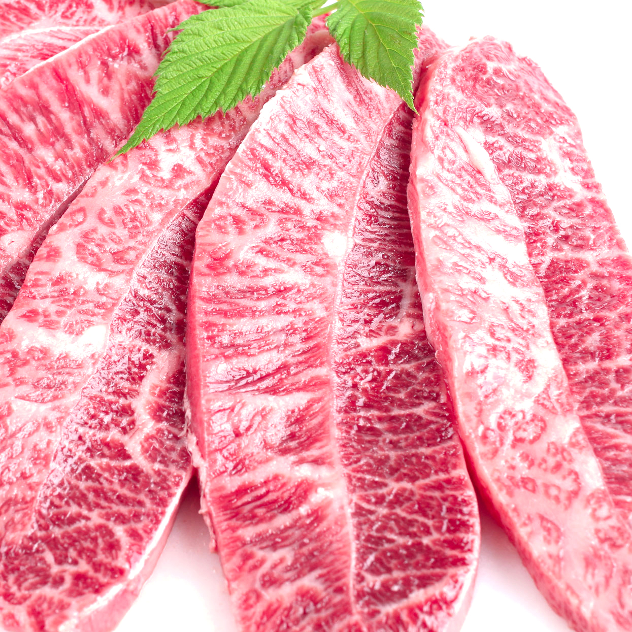 한우 부채살 300g